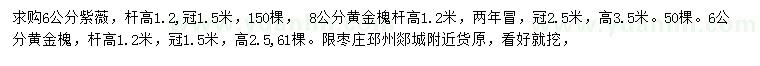 求购紫薇、黄金槐、黄金槐