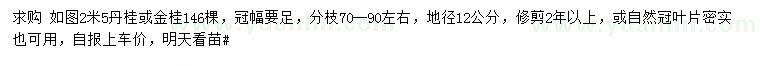 求购地径12公分丹桂或金桂