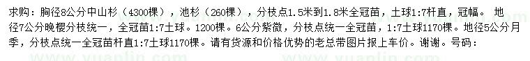 求购中山杉、池杉、晚樱等