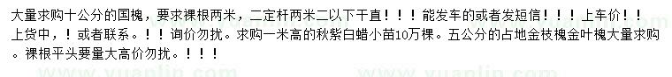 求购国槐、秋紫白蜡、金枝槐等