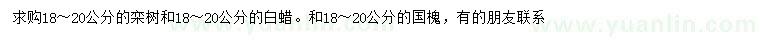 求购栾树、白蜡、国槐