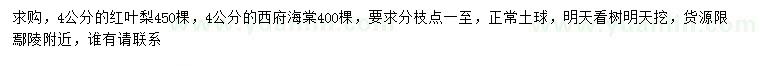 求购4公分红叶梨、西府海棠