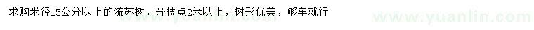 求购米径15公分以上流苏