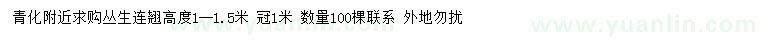 求购高1-1.5米丛生连翘