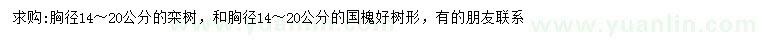 求购胸径14-20公分栾树、国槐