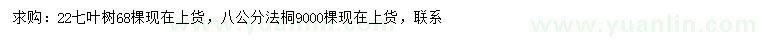 求购22公分七叶树、8公分法桐