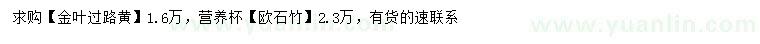 求购金叶过路黄、欧石竹