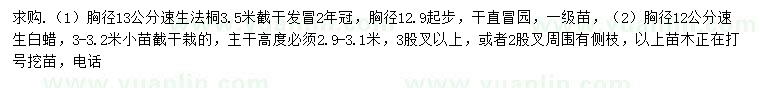 求购胸径13公分速生法桐、胸径12公分速生白蜡