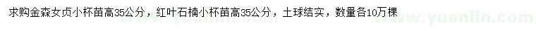 求购高35公分金森女贞、红叶石楠