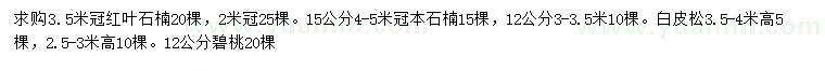 求购红叶石楠、本石楠、白皮松等