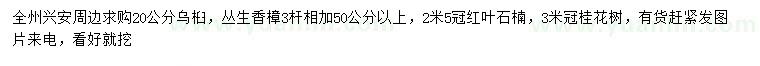 求购乌桕、丛生香樟、红叶石楠等