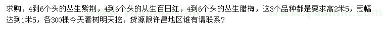 求购丛生紫荆、从生百日红、丛生腊梅