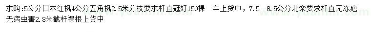 求购日本红枫、五角枫、北栾