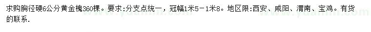 求购胸径6公分黄金槐