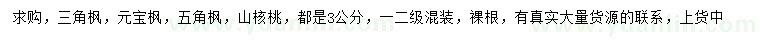 求购三角枫、元宝枫、五角枫等
