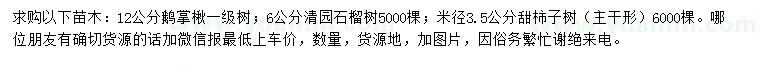 求购鹅掌楸、石榴树、甜柿子树