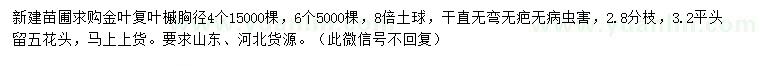 求购胸径4、6公分金叶复叶槭