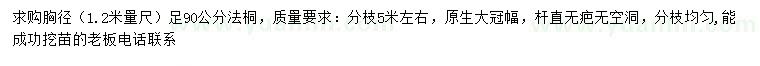 求购1.2米量90公分法桐