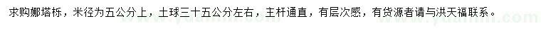 求购米径5公分以上娜塔栎