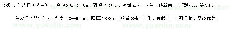 求购高3-3.5、4-4.5米白皮松