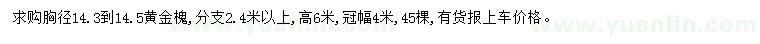 求购胸径14.3-14.5公分黄金槐