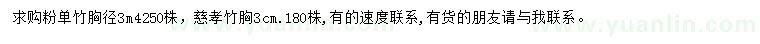 求购胸径3公分粉单竹、慈孝竹