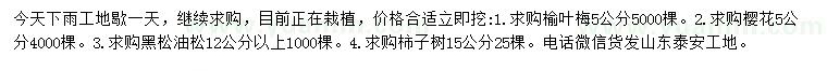 求购榆叶梅、樱花、黑松等