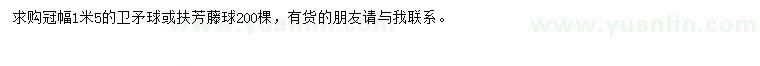 求购冠幅1.5米卫矛球、扶芳藤球