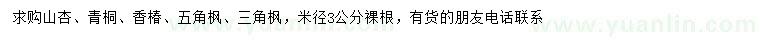 求购山杏、青桐、香椿等