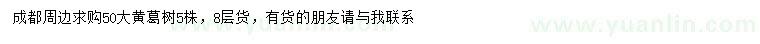 求购50公分黄葛树
