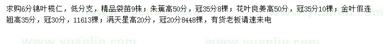 求购锦叶榄仁、朱蕉、花叶良姜等