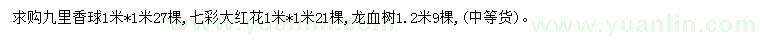 求购九里香球、七彩大红花、龙血树