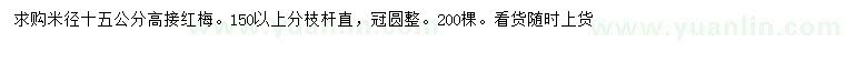 求购米径15公分高接红梅