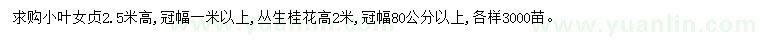 求购高2.5米小叶女贞、高2米丛生桂花