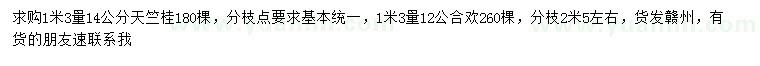 求购1.3米量14公分天竺桂、1.3米量12公分合欢