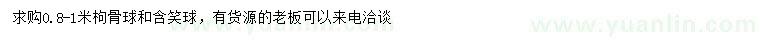 求购0.8-1米枸骨球、含笑球