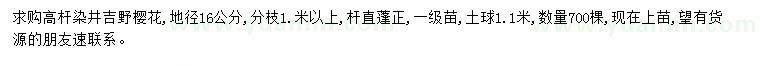 求购地径16公分高杆染井吉野樱花