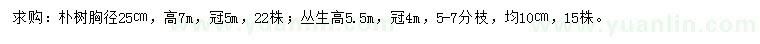 求购胸径25公分朴树、高5.5米丛生朴树