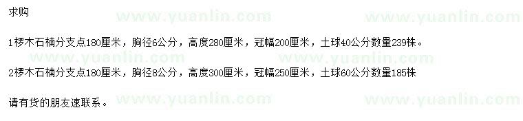 求购胸径6、8公分椤木石楠