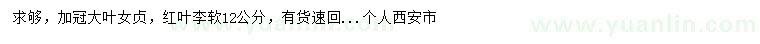 求购加冠大叶女贞、软12公分红叶李