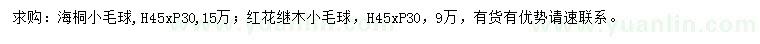 求购海桐、红花继木小毛球