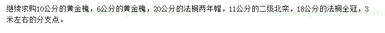 求购黄金槐、法桐、北栾