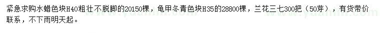 求购水蜡色块、龟甲冬青色块、兰花三七