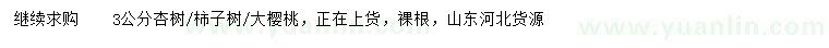 求购3公分杏树、柿子树、大樱桃