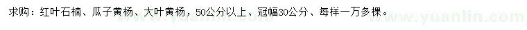 求购50公分以上红叶石楠、瓜子黄杨、大叶黄杨