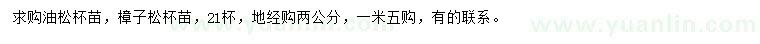 求购地径2公分油松苗、樟子松苗