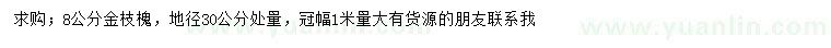 求购地径30公分处量8公分金枝槐