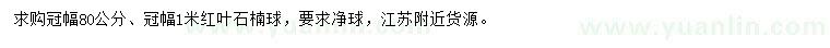 求购冠幅80公分、1米红叶石楠球