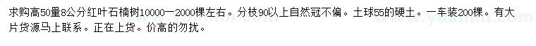 求购高50量8公分红叶石楠