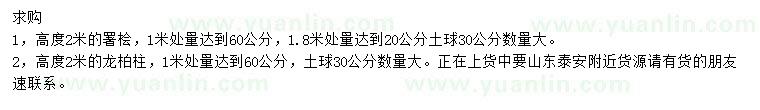 求购高2米署桧、龙柏柱